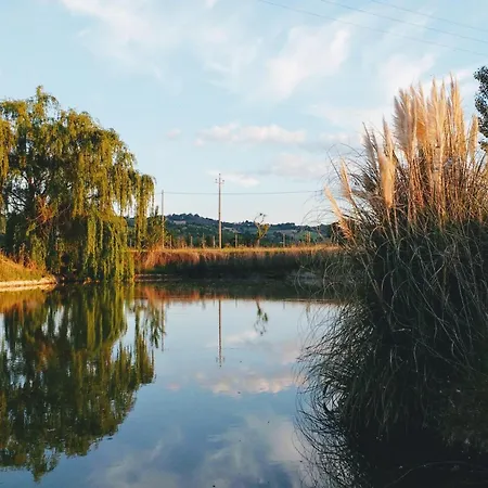 Alloggio per agriturismo Regina Di Fiori Monte Porzio