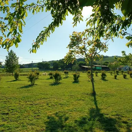 Regina Di Fiori Monte Porzio