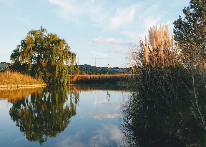 Farm stay Regina Di Fiori Monte Porzio